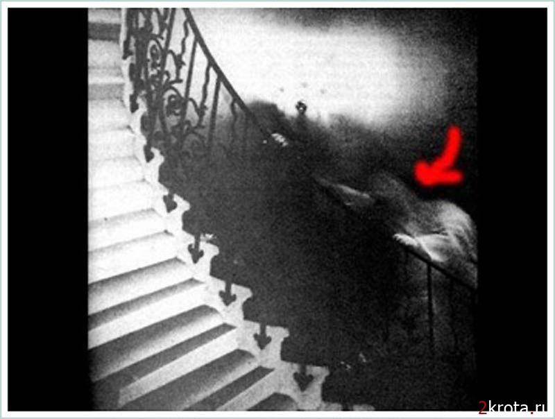 Самые известные фотографии призраков (15 фото)