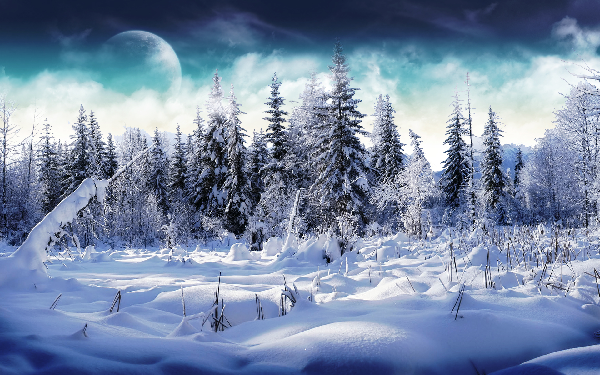 Winterswonderland Winter Wonderland
