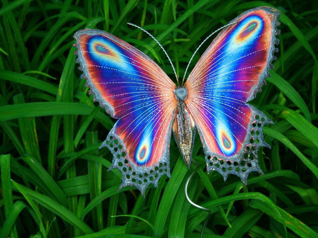 Молчание бабочек \ Молчат крылатые создания О нас, рождёнными творцом... S1200-14