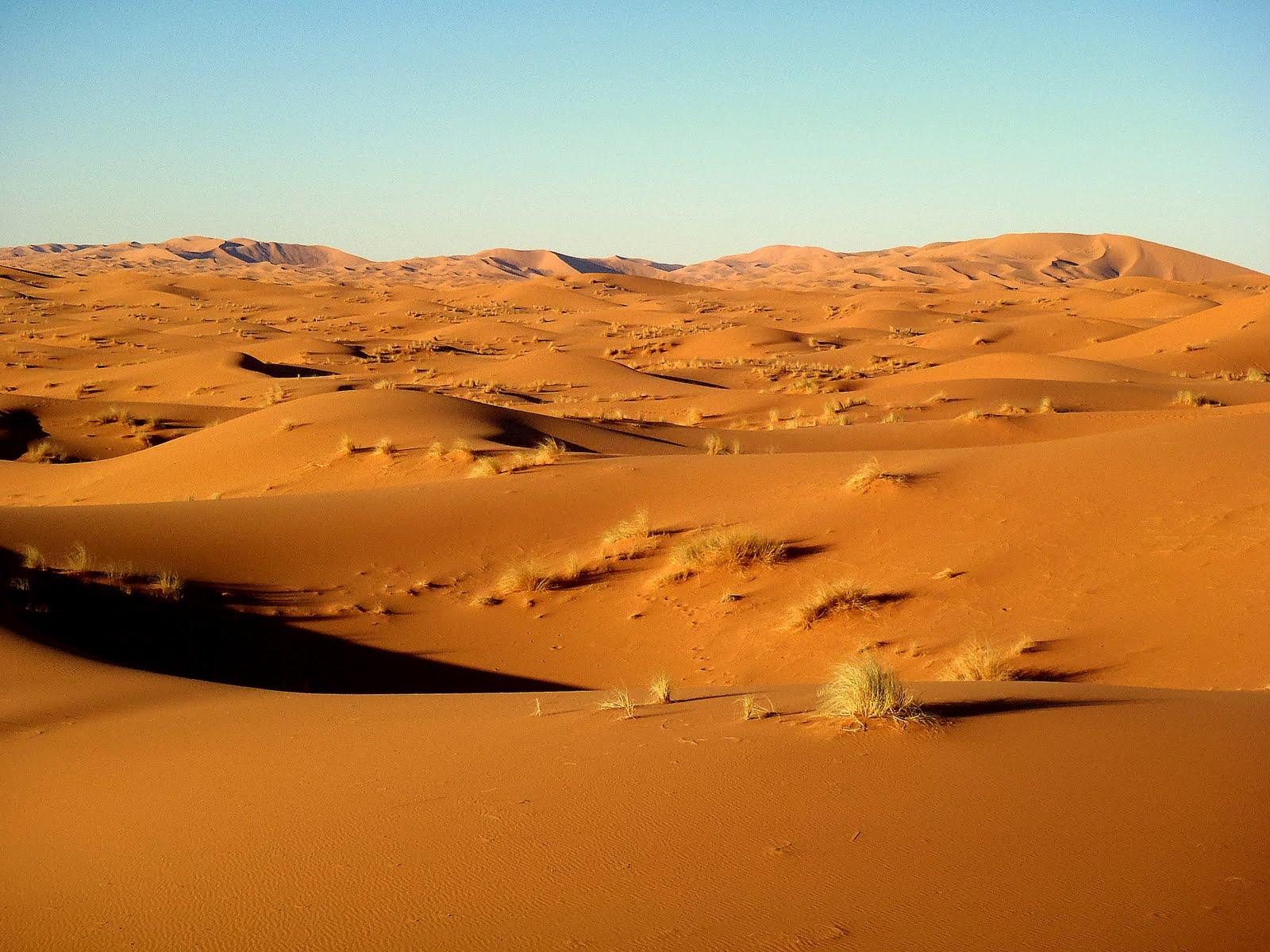 Saharasdessert Sahara Desert:
