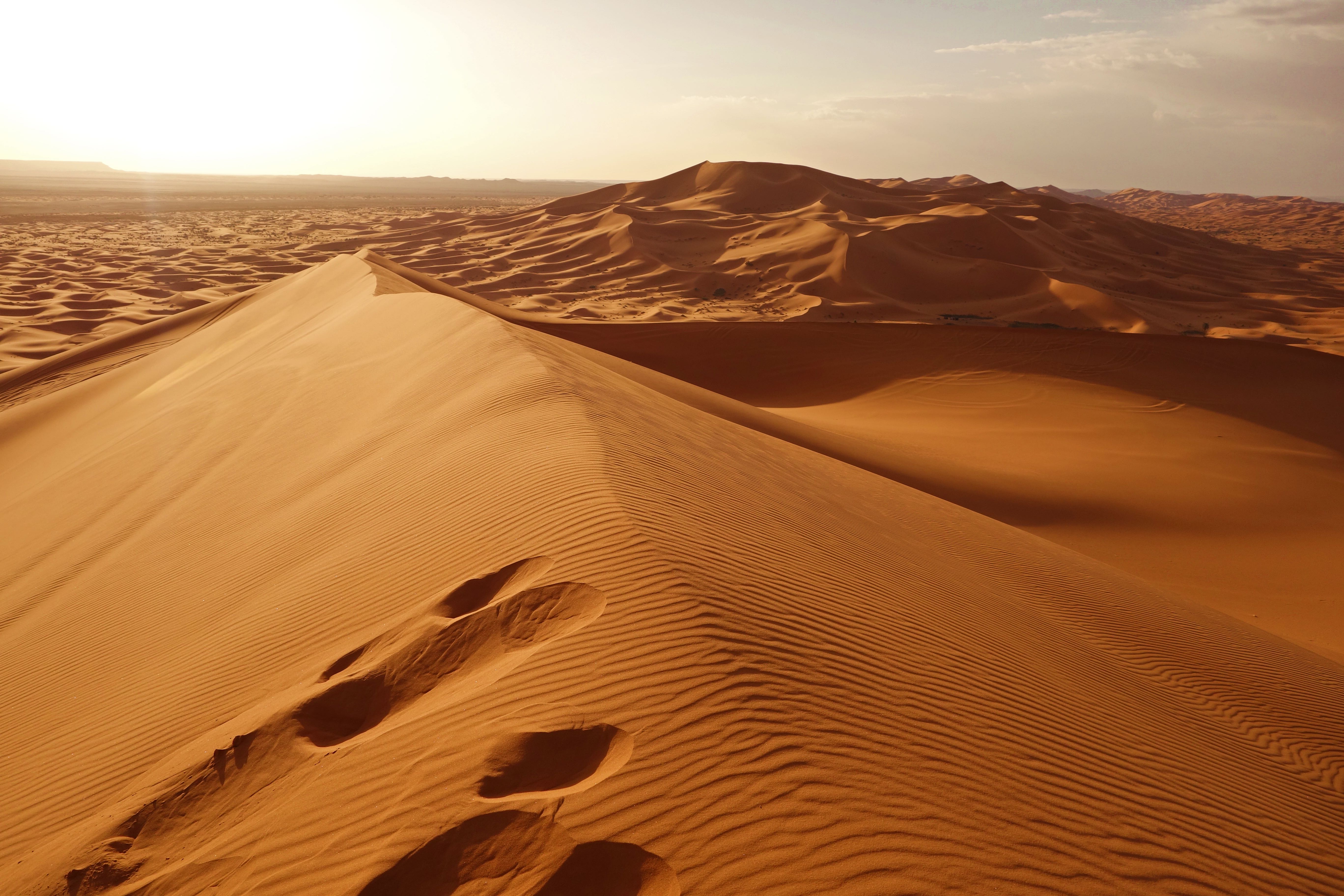 Saharasdessert Sahara Desert