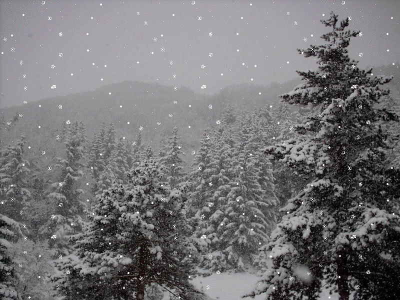 Красивые гифки со снегом(50 картинок) .